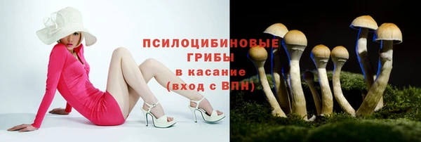 дурь Арсеньев