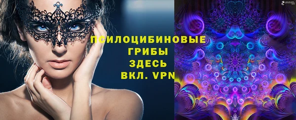 spice Нея