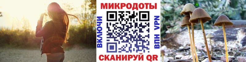 Псилоцибиновые грибы Cubensis  где продают   Бокситогорск 